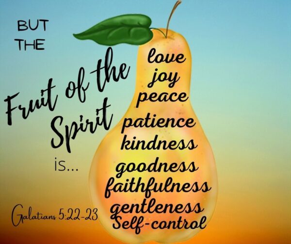 One Fruit Of The Holy Spirit Wake Up To Hope Blog